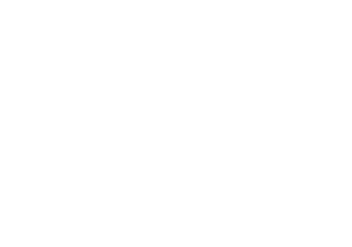 EAA Chapter 229