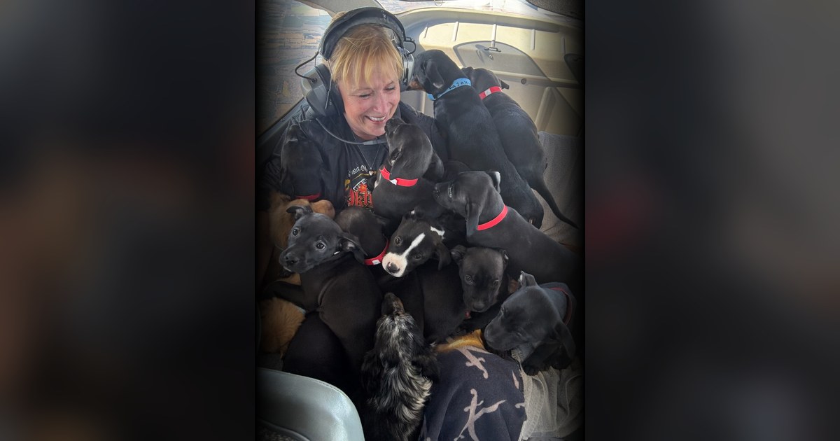 Dog Legs to Alabama: How Steve & Angie Are Saving Shelter Dogs, One Flight at a Time